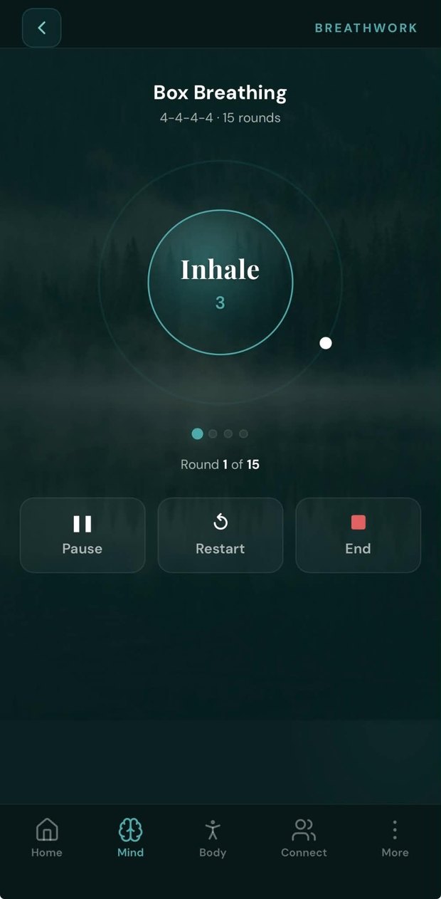 VYVE box breathing session